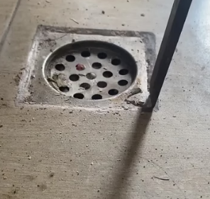 H0304012_Kitten rescued drain pipe