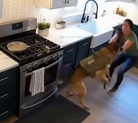 H0404004_On March in