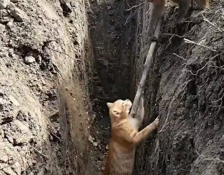 H0404007_Incredible Rescue!