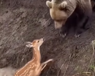 H0404021_most surprising thing happened