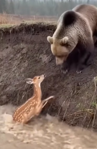 H0404021_most surprising thing happened