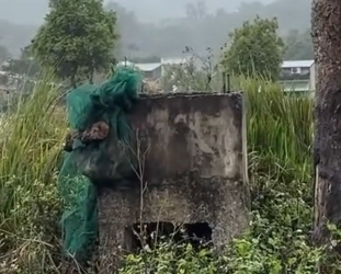 H0604005_#rescue #rescueanimals #rescuepuppy #fyp #animals