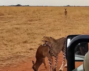 H0604015_This is #ree