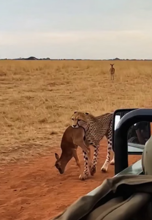 H0604015_This is #ree