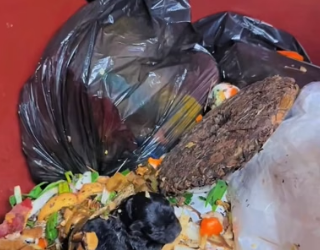 H0804022_Oh my god,the man saw black puppy in trash