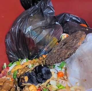 H0804022_Oh my god,the man saw black puppy in trash