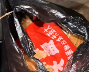 H0804024_kitten was abandoned in trash can,but #t