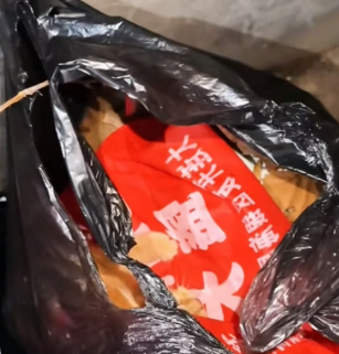 H0804024_kitten was abandoned in trash can,but #t