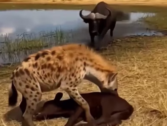 H0204004_ Enjoy the great