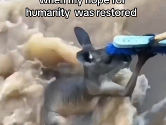 H0204007_They Owe Me Big Time