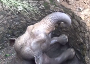 H3003004_Trapped All Night Res