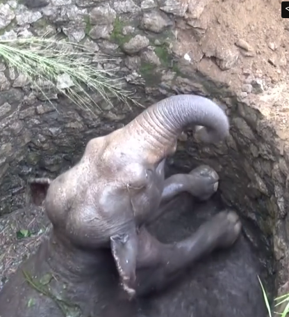 H3003004_Trapped All Night Res