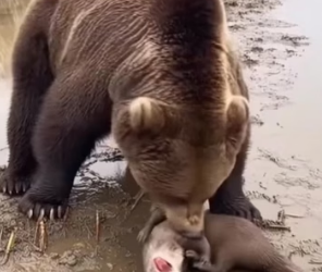 H0304006_My Morning Hike Went