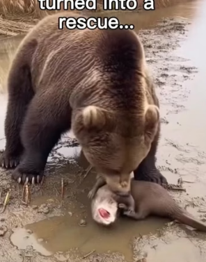 H0304006_My Morning Hike Went