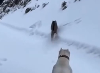 H0304008_Someone deserves per